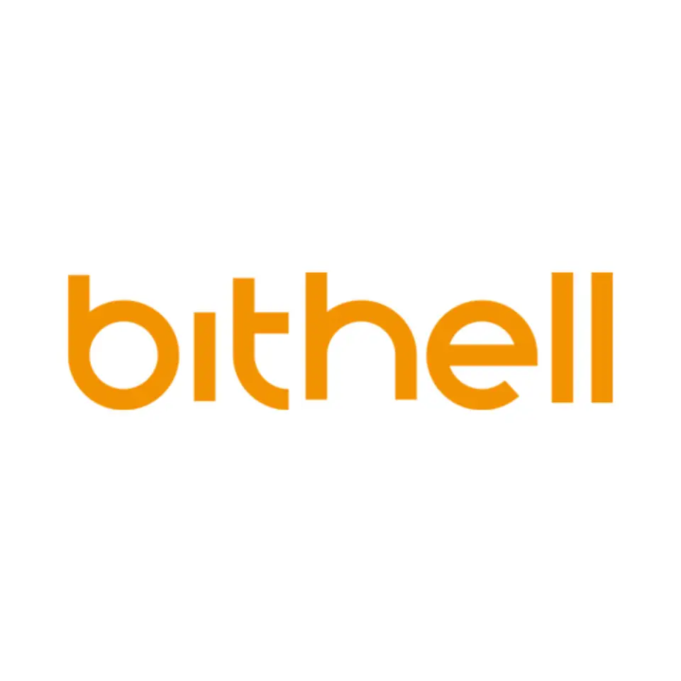 تولید کننده: Bithell Games