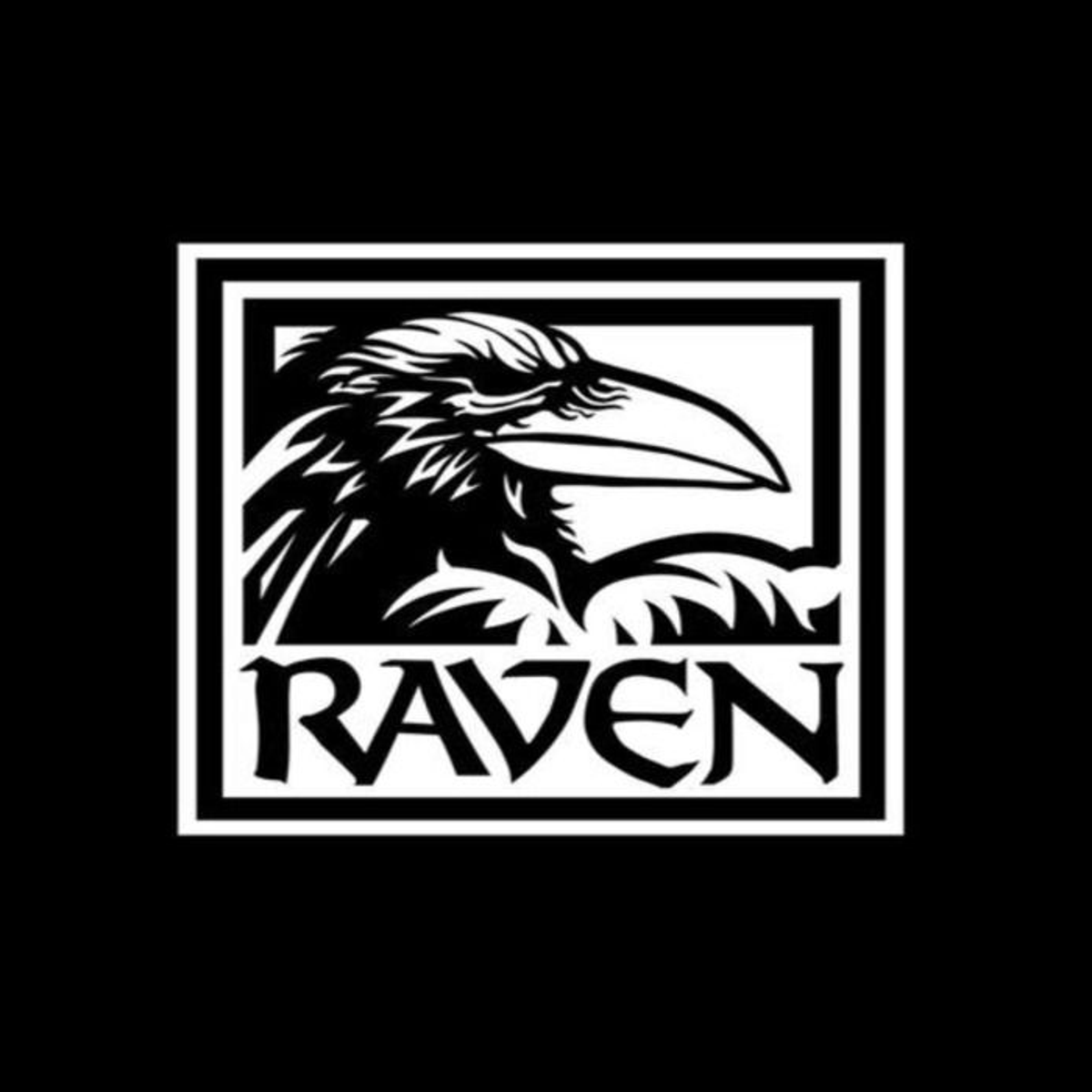 تولید کننده: Raven Software