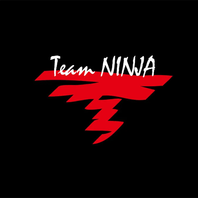 تولید کننده: Team Ninja