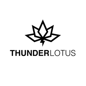 تولید کننده: Thunder Lotus Games