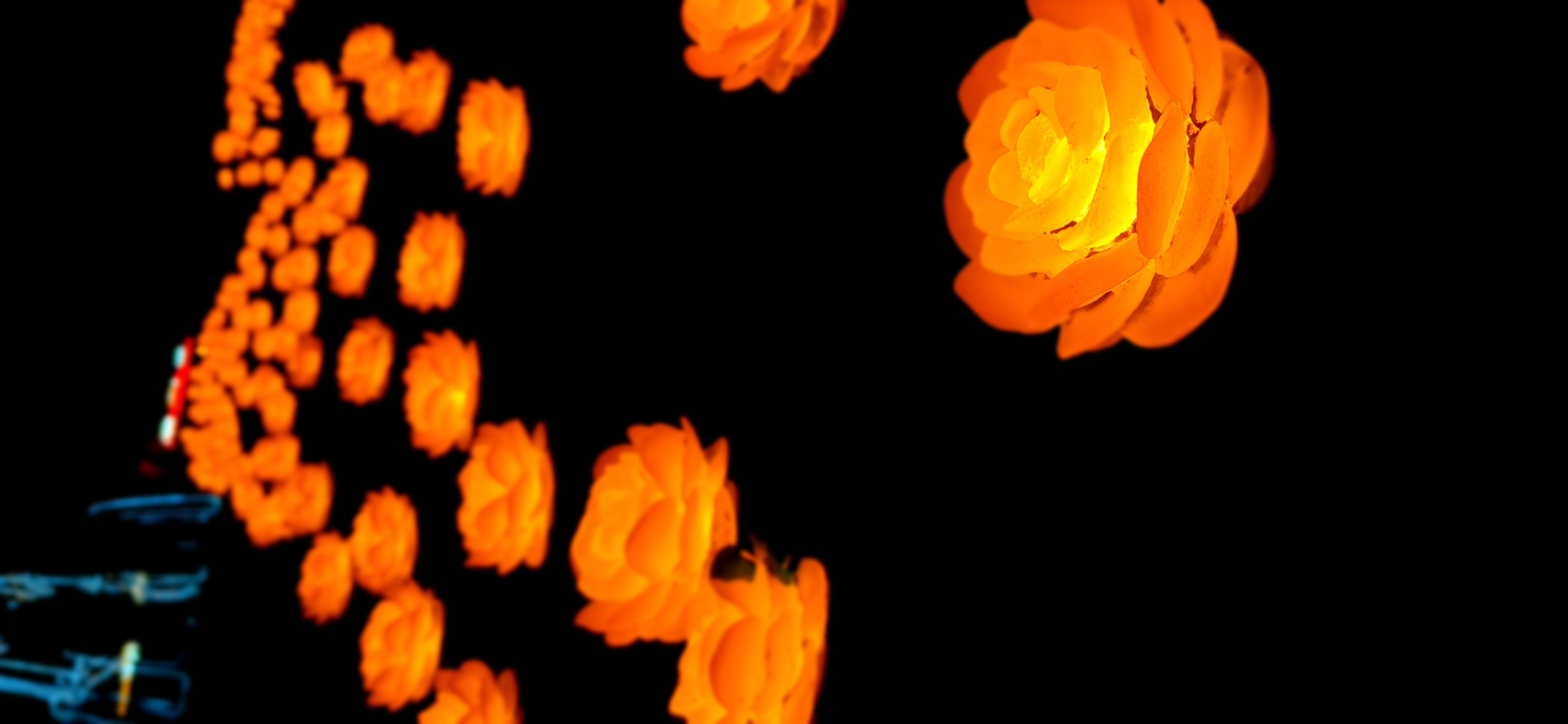 RanTzzy's Profile Picture In GameUP