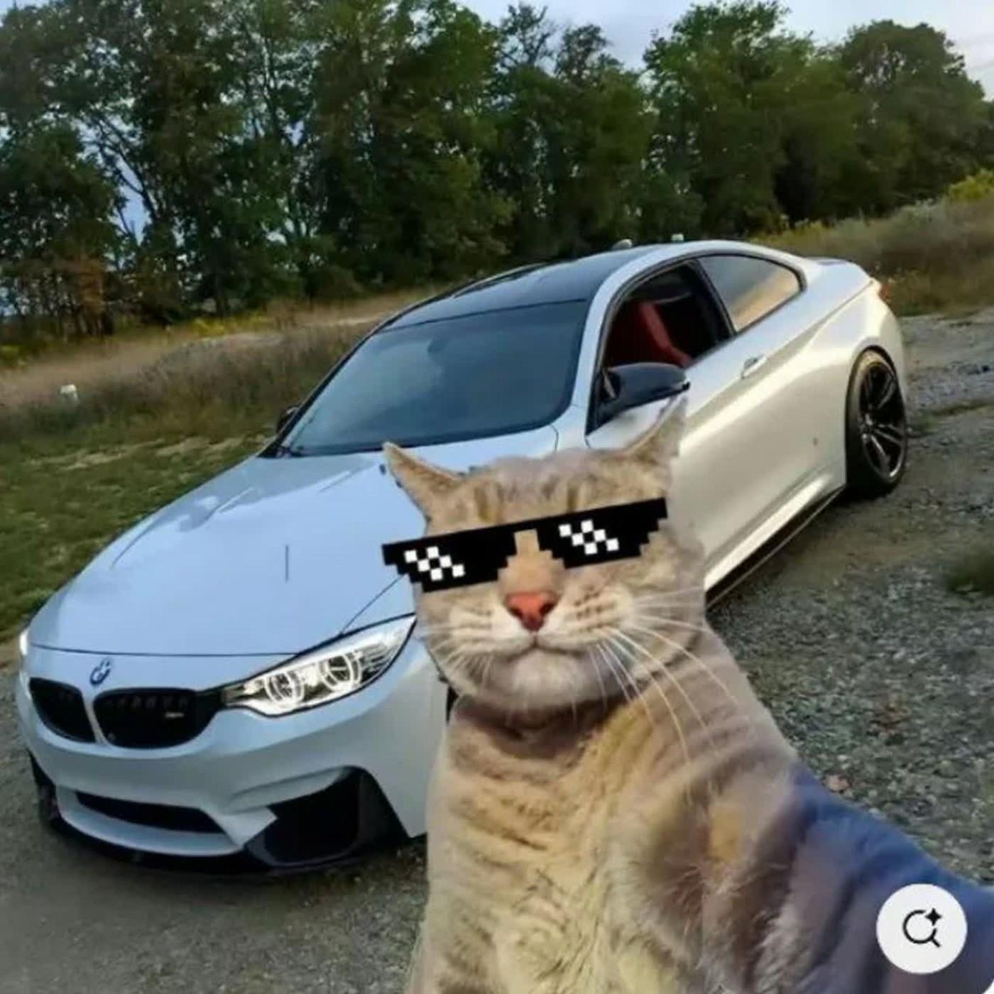 BlackWihat's Profile Picture In GameUP