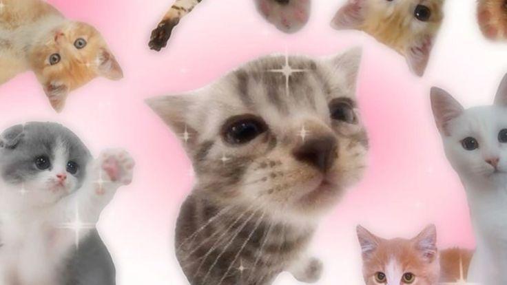 goose's Profile Picture In GameUP