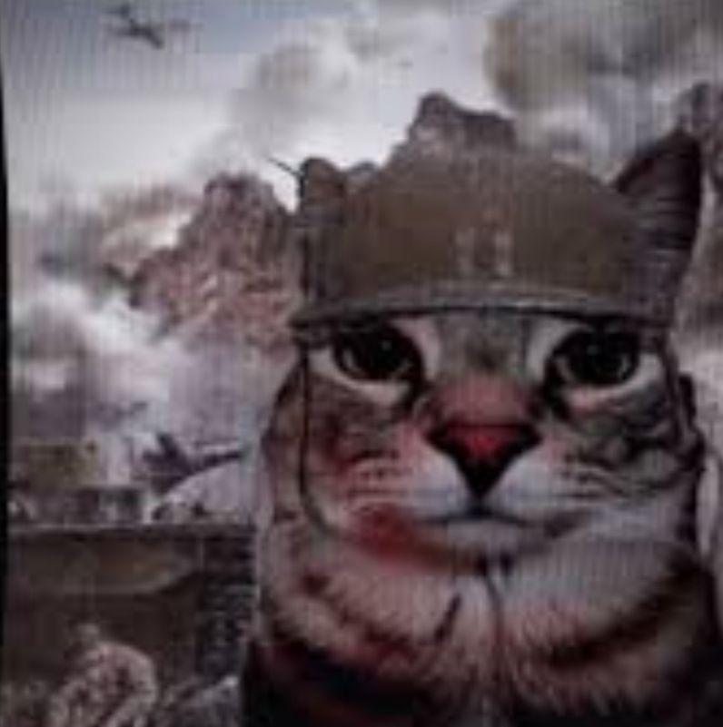 باسر's Profile Picture In GameUP