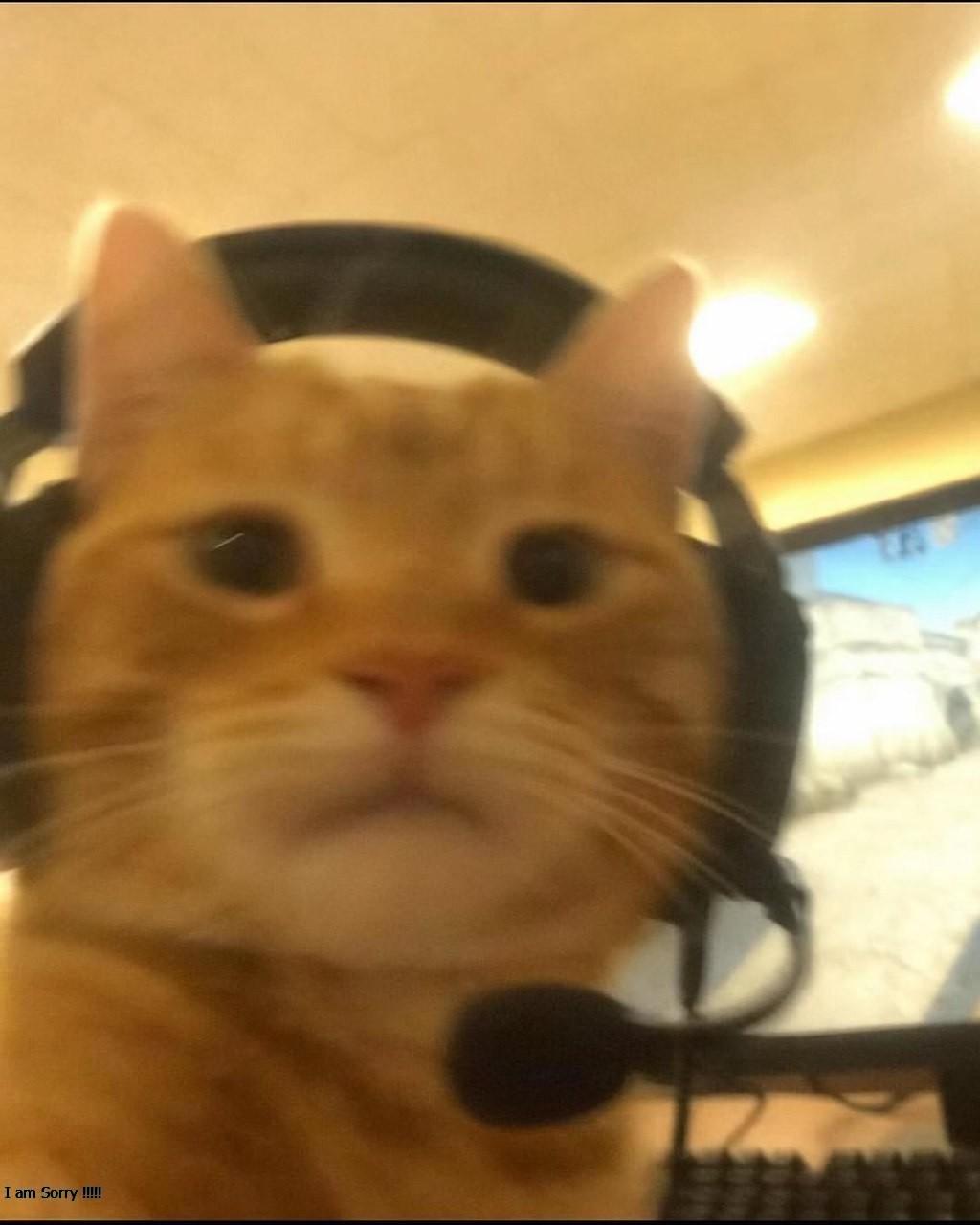 PALADIN's Profile Picture In GameUP