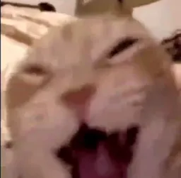 sepehrSP's Profile Picture In GameUP