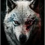 wolfgang's Profile Picture In GameUP